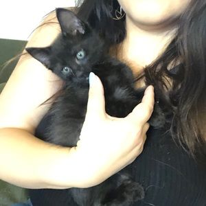 Meet your Posher, Vanessa